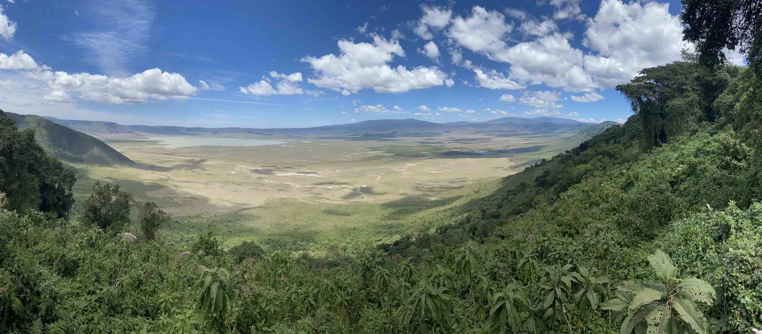 Day trip to Ngorongoro Crater