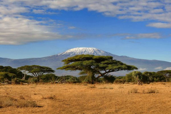Kilimajaro, Tanzania