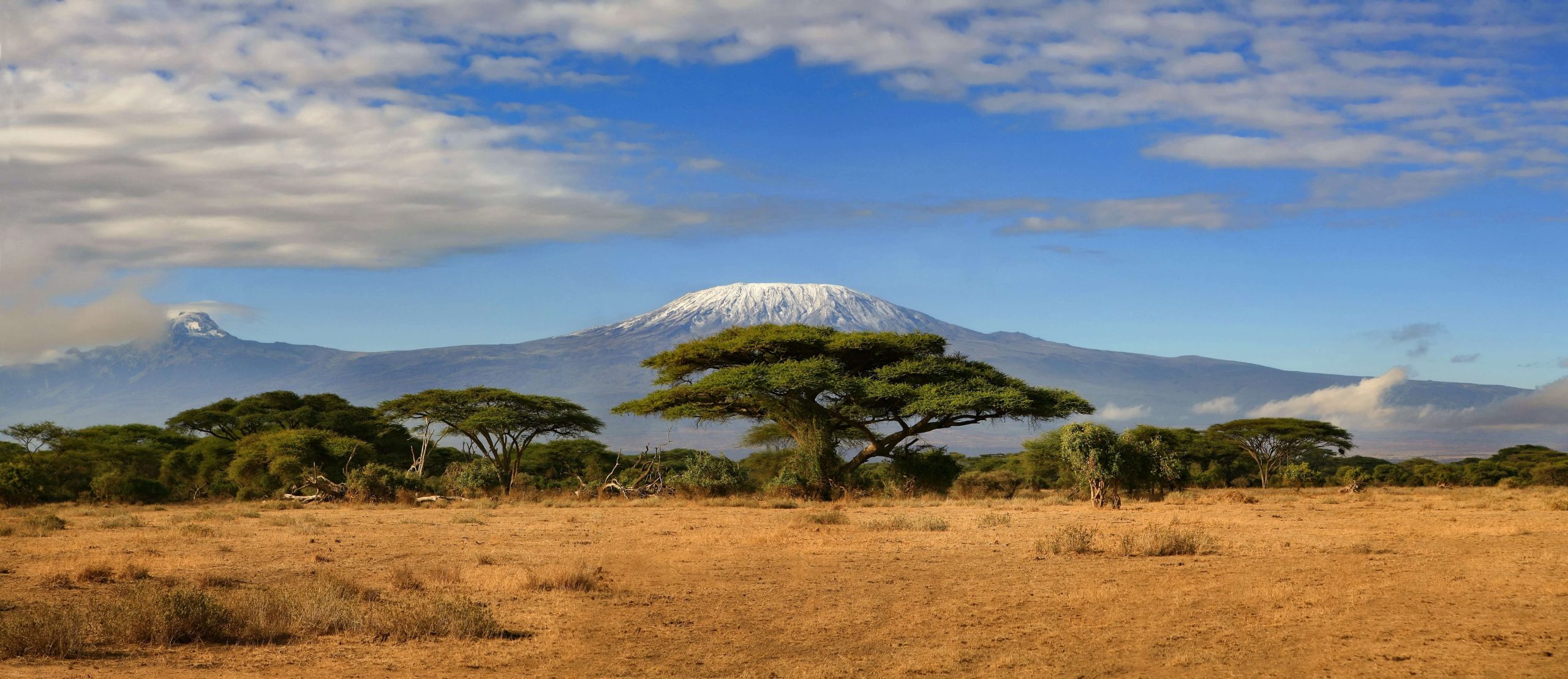Kilimanjaro trekking, 7 days, Rongai Route