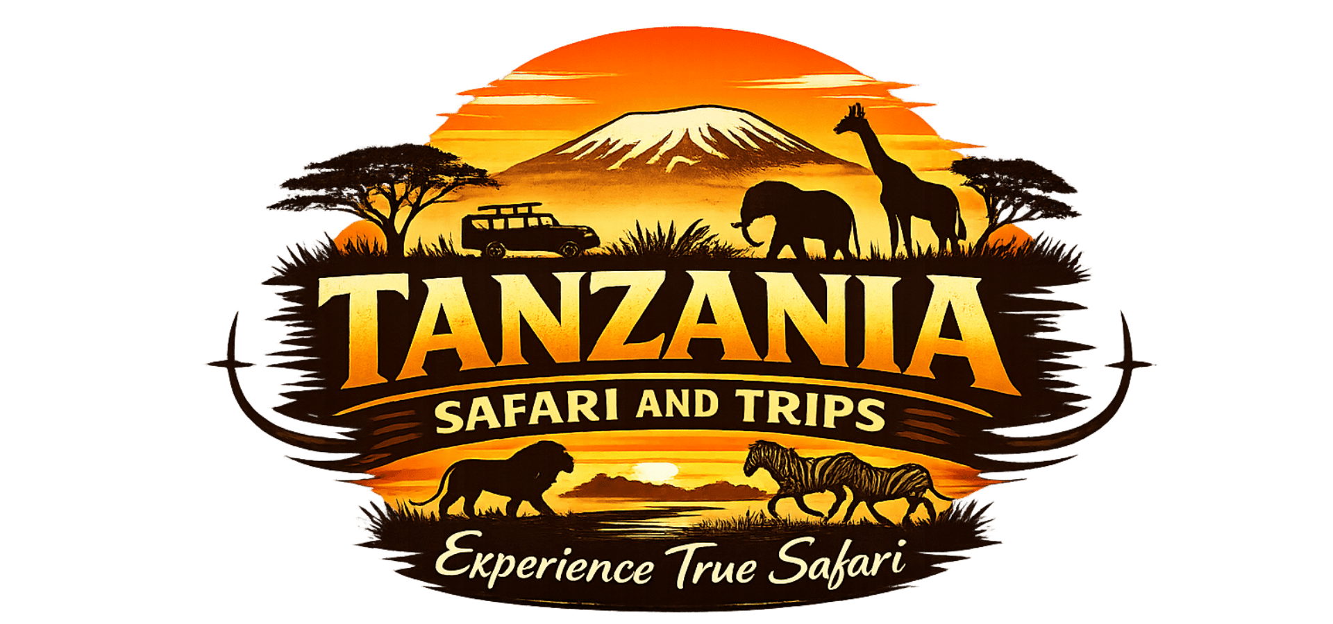 Tanzania Safari Tours