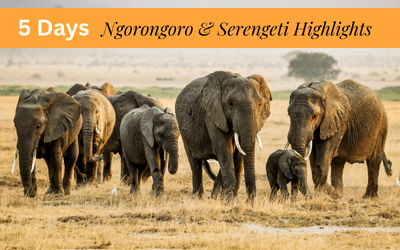 5 DAYS NGORONGO AND SERENGETI HIGHLIGHTS