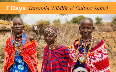 7 Days Tanzania Wildlife and Culture Safari