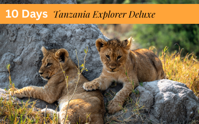 10 Days Tanzania Explorer DEluxe