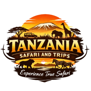 TANZANIA SAFARIS AND TRIPS