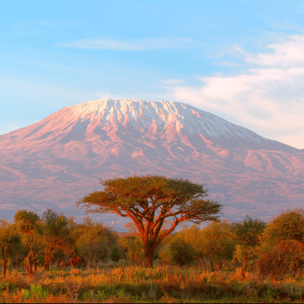mount kilimanjaro